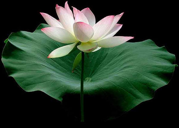 blessings from swamiji